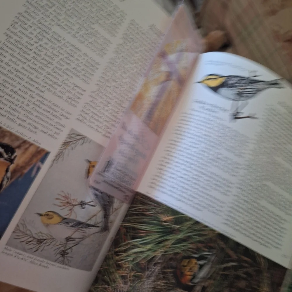 National Geographic Blue and White Bird Guide